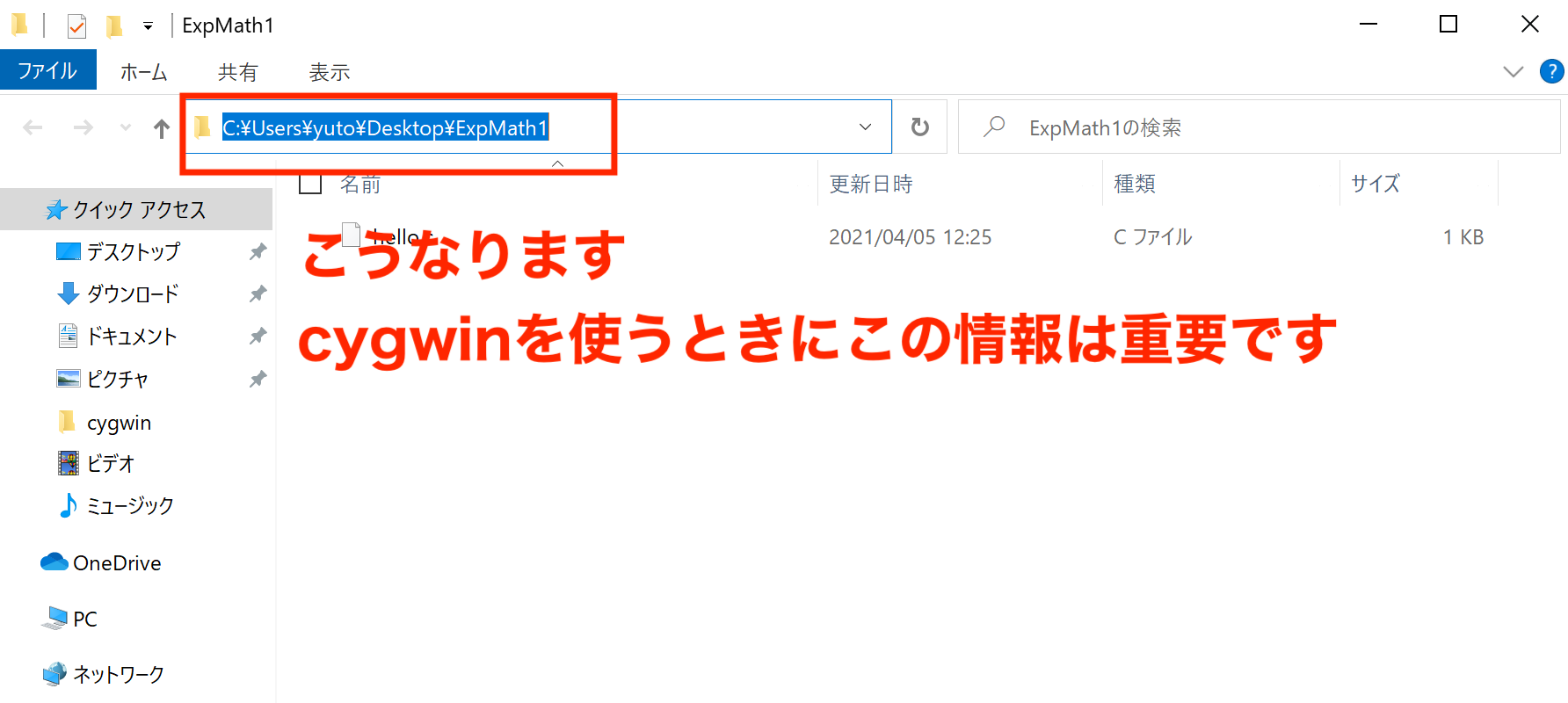 cygwin17