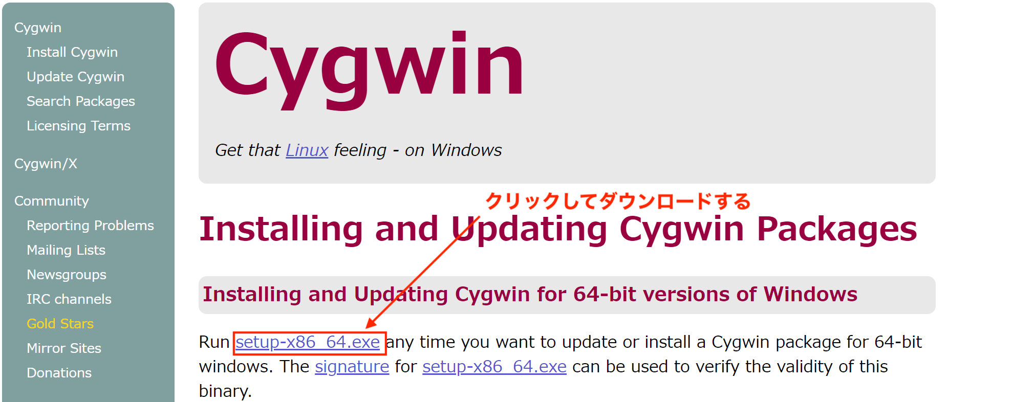 cygwin2