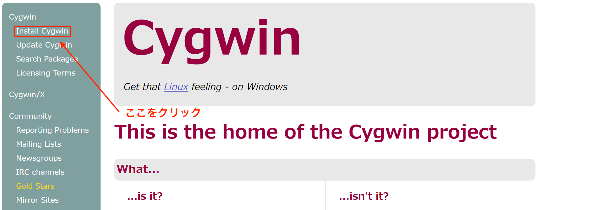 cygwin1